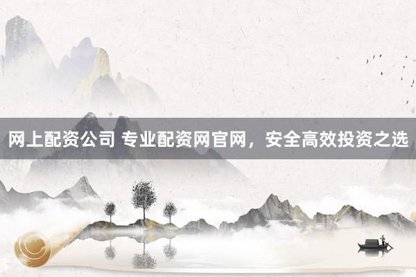 网上配资公司 专业配资网官网，安全高效投资之选