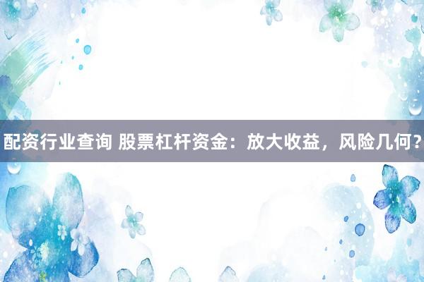配资行业查询 股票杠杆资金：放大收益，风险几何？
