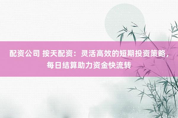 配资公司 按天配资：灵活高效的短期投资策略，每日结算助力资金快流转