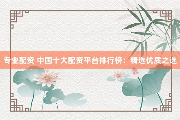 专业配资 中国十大配资平台排行榜：精选优质之选